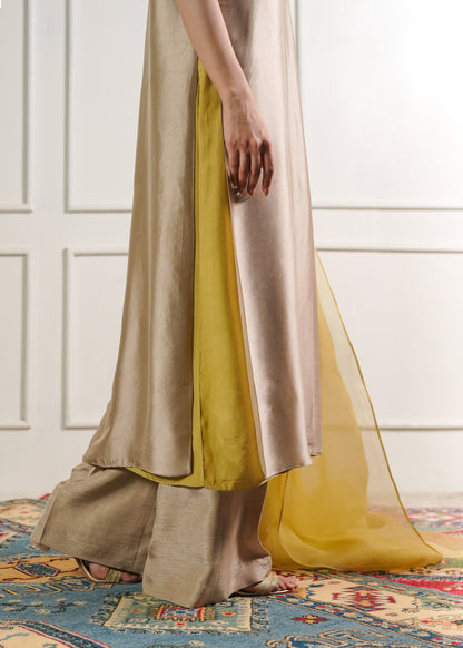 Double Layered shirt set