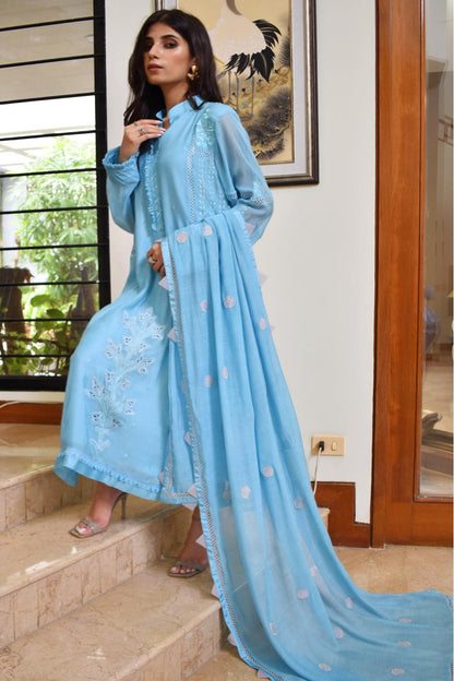 Daffodils (Blue)